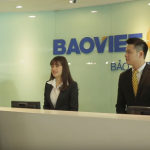 baoviet (1)